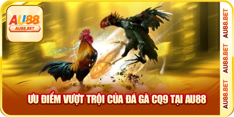 Ưu điểm vượt trội của đá gà CQ9 tại AU88